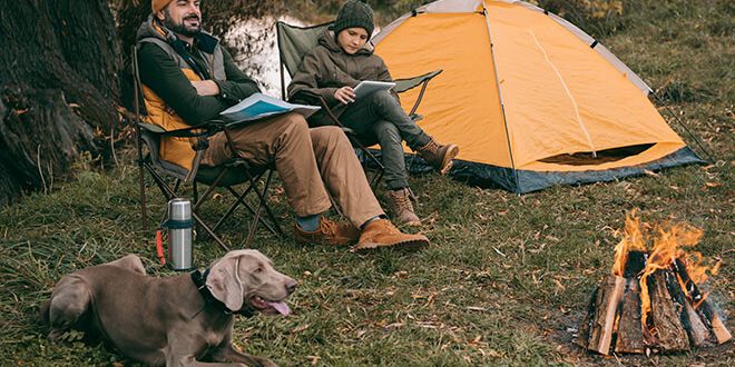 Essential Tips for Camping with Pets Essential Tips for Camping with Pets